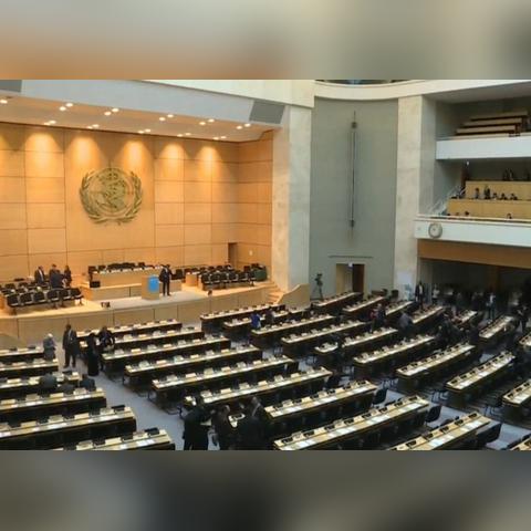2024澳门天天开好彩大全凤凰天机|最新分析解释落实_过渡版.9.264