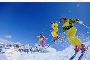 滑雪之星无广吿免费下载-滑雪之星游戏下载v.7.34